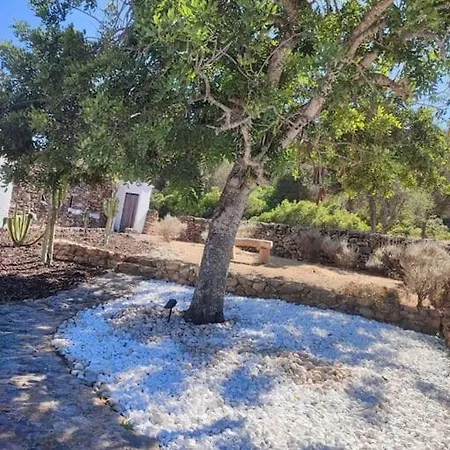 Authentic Ibicenco With Large Pool Villa