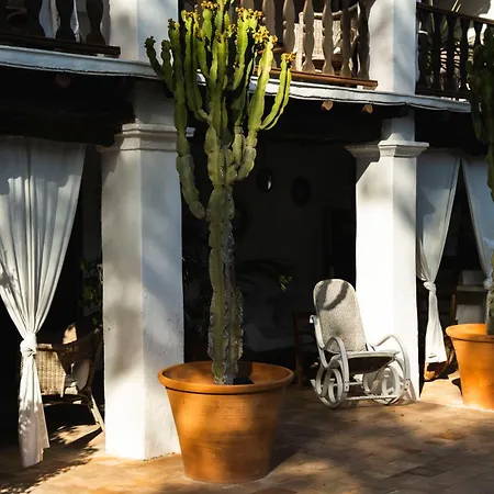Authentic Ibicenco With Large Pool Ibiza
